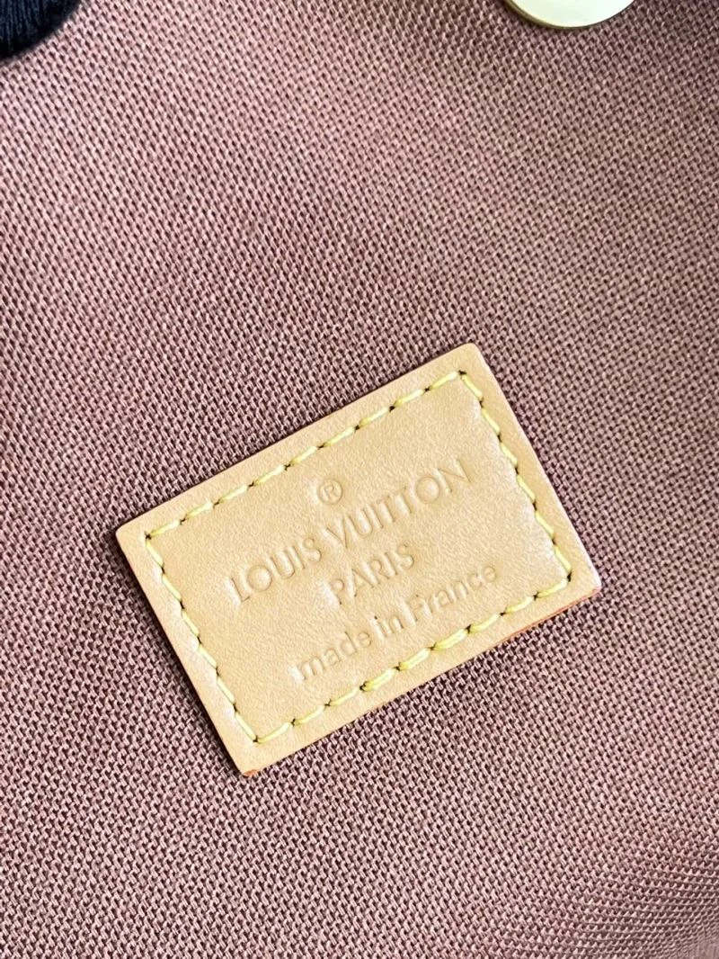 EyeCatching Louis Vuitton Backpacks 49239