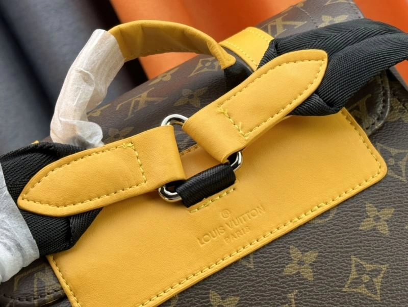 Louis Vuitton Backpacks Affordable 79930