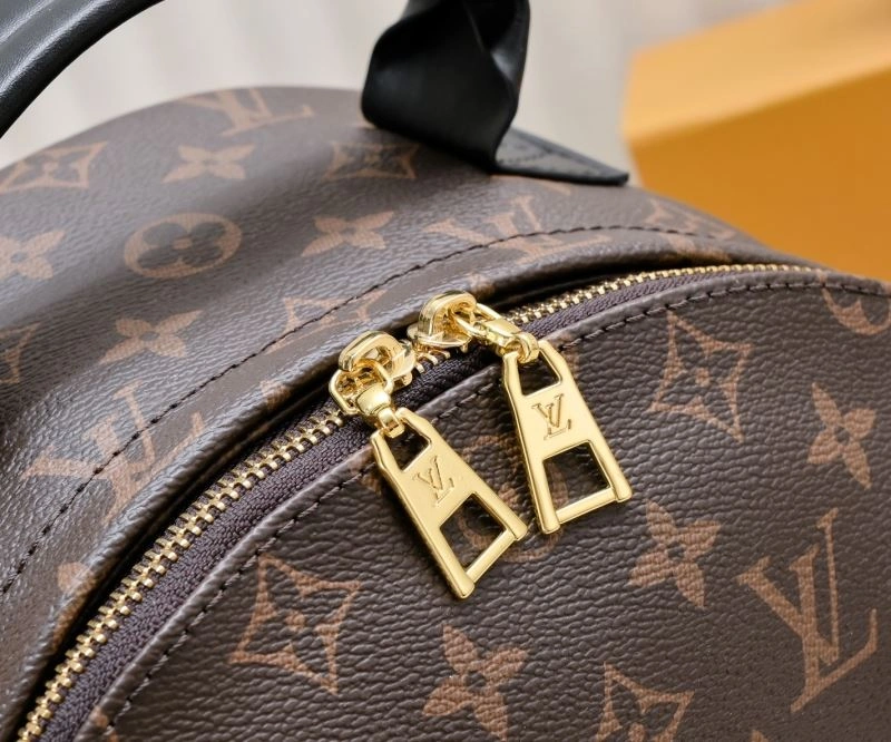 DailyWear Louis Vuitton Backpacks 79924