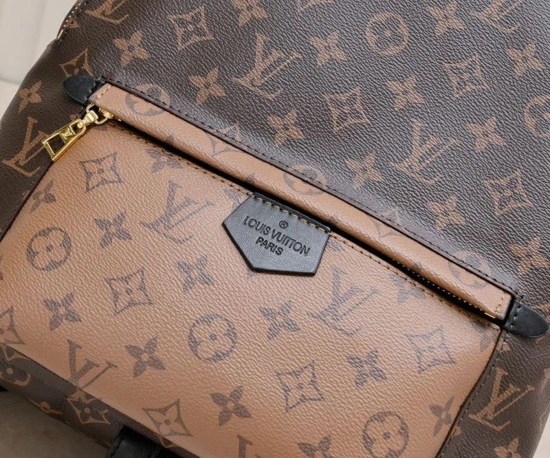 DailyWear Louis Vuitton Backpacks 79924