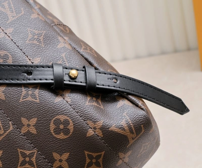 DailyWear Louis Vuitton Backpacks 79924