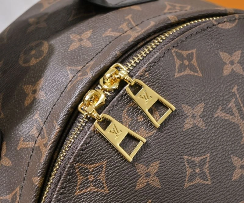 Louis Vuitton Backpacks Attractive 79926
