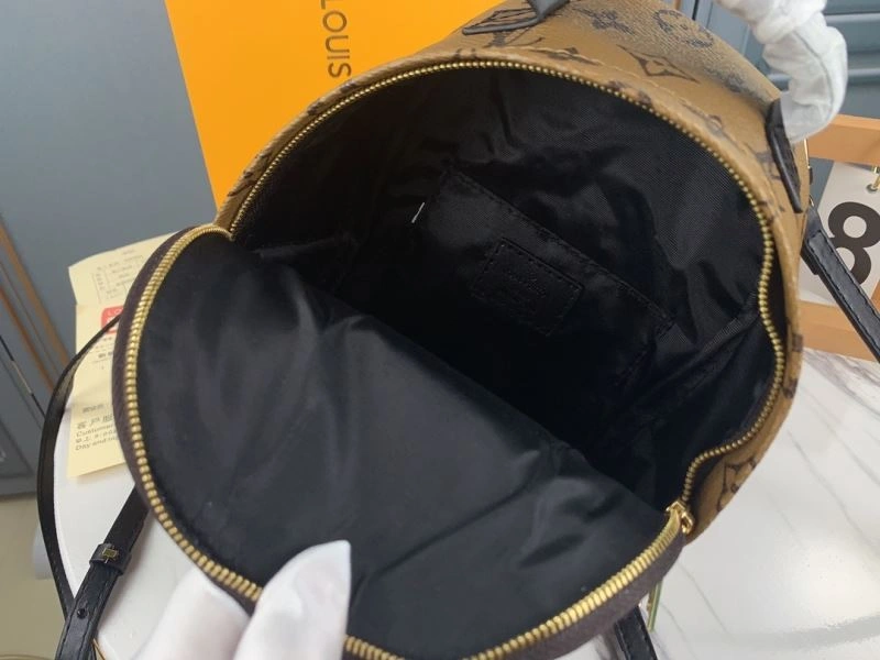 Sustainable Louis Vuitton Backpacks 79916