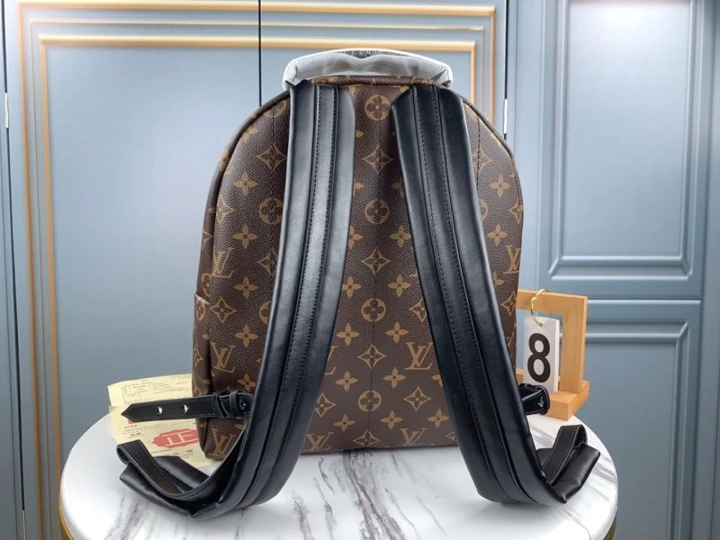 Functional Louis Vuitton Backpacks 79919