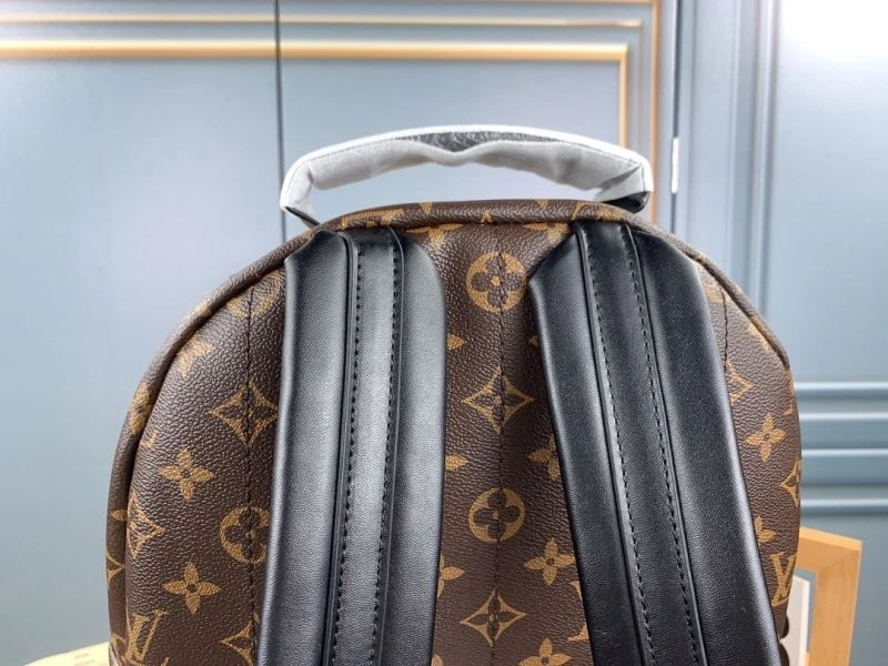 Functional Louis Vuitton Backpacks 79919