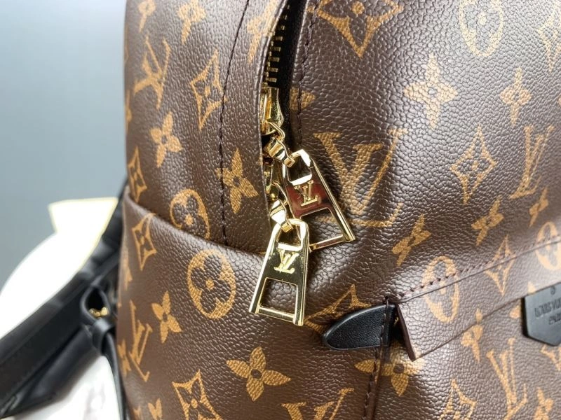 Functional Louis Vuitton Backpacks 79919