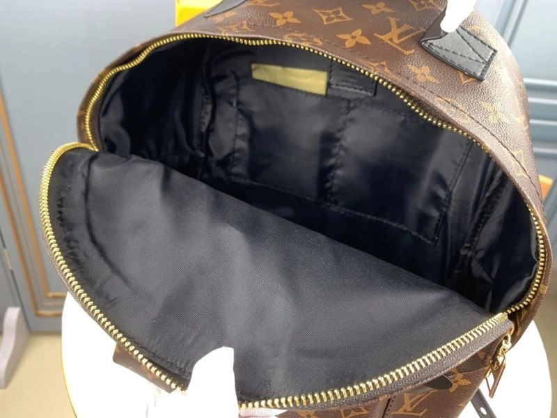 Functional Louis Vuitton Backpacks 79919