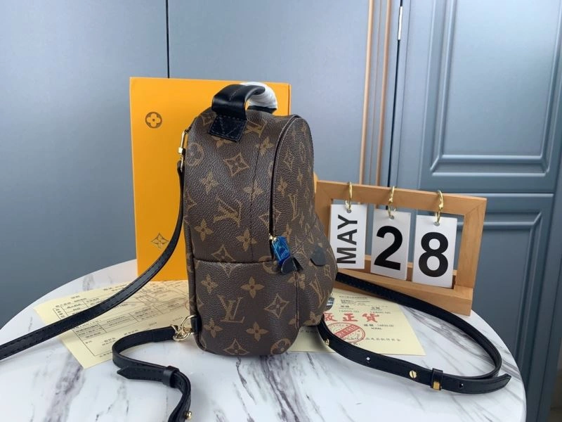Louis Vuitton Backpacks Practical 79913