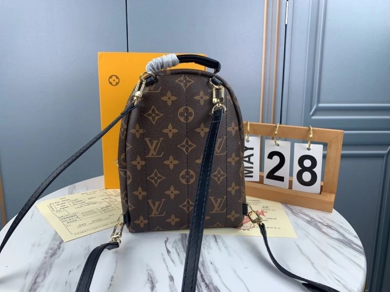 Louis Vuitton Backpacks Practical 79913