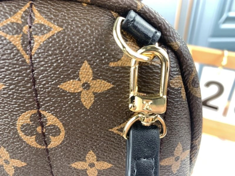 Louis Vuitton Backpacks Practical 79913