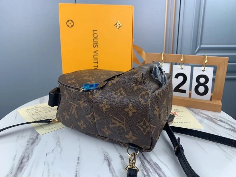 Louis Vuitton Backpacks Practical 79913