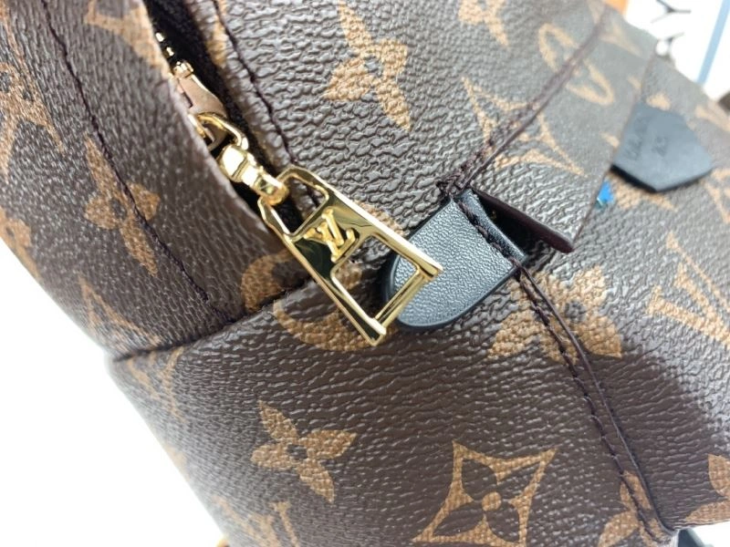 Louis Vuitton Backpacks Practical 79913