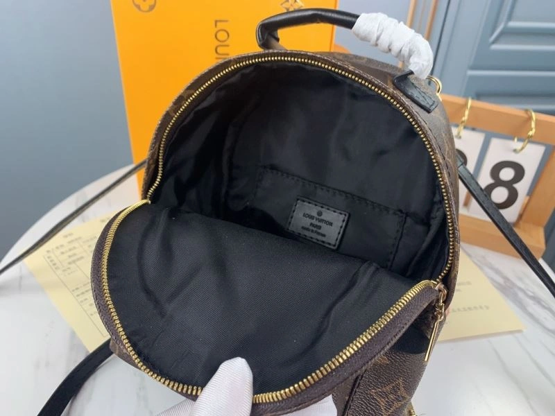 Louis Vuitton Backpacks Practical 79913