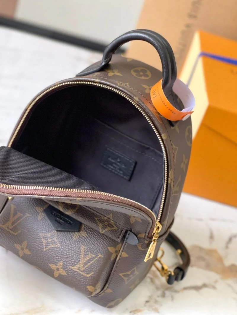 Louis Vuitton Backpacks Colorful 40164