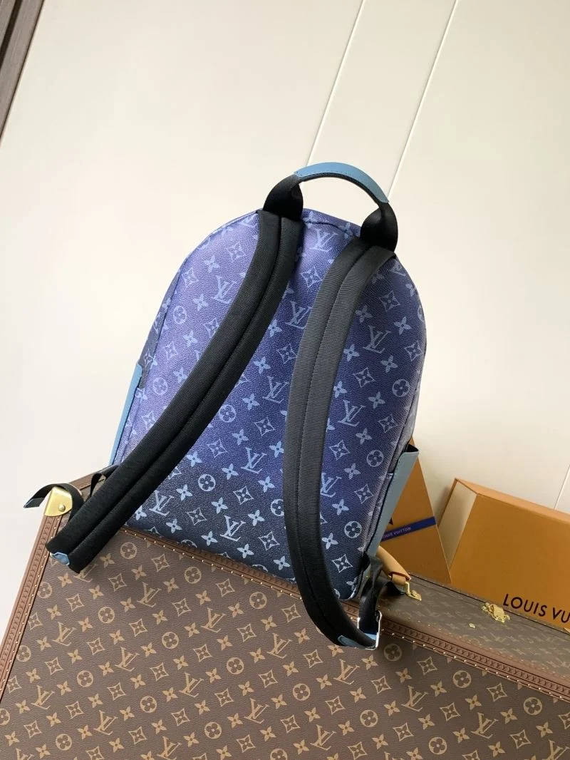 Louis Vuitton Backpacks Efficient 38950