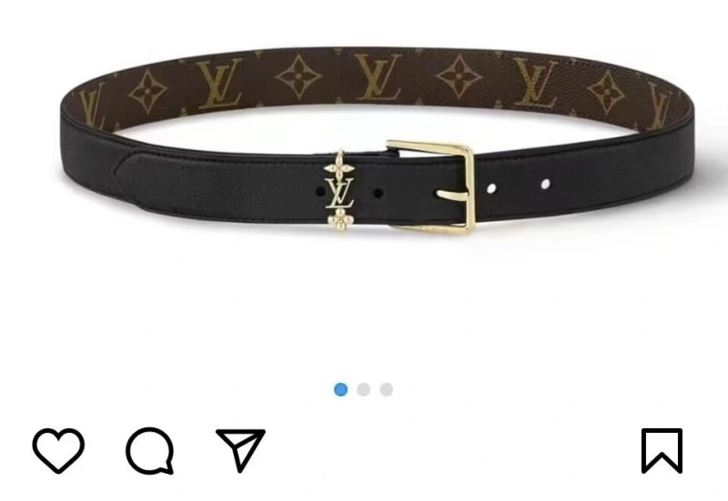 Neat Louis Vuitton Belts 301068