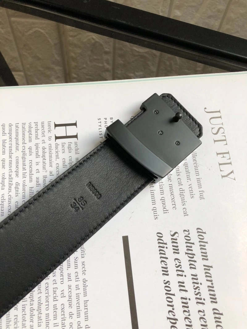 Modern Louis Vuitton Belts 300259