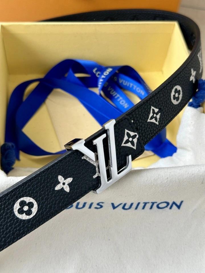 GoAnywhere Louis Vuitton Belts 300092