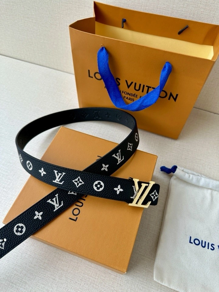 GoAnywhere Louis Vuitton Belts 300092