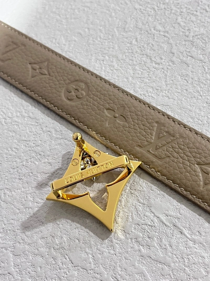 DailyWear Louis Vuitton Belts 297434