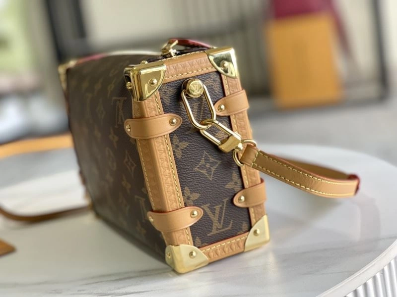 GoAnywhere Louis Vuitton Box Bags 94414