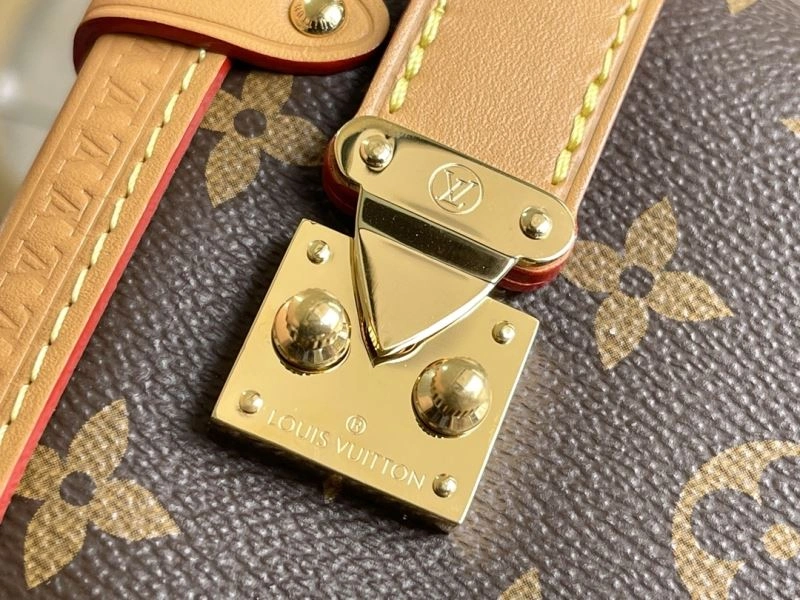 GoAnywhere Louis Vuitton Box Bags 94414