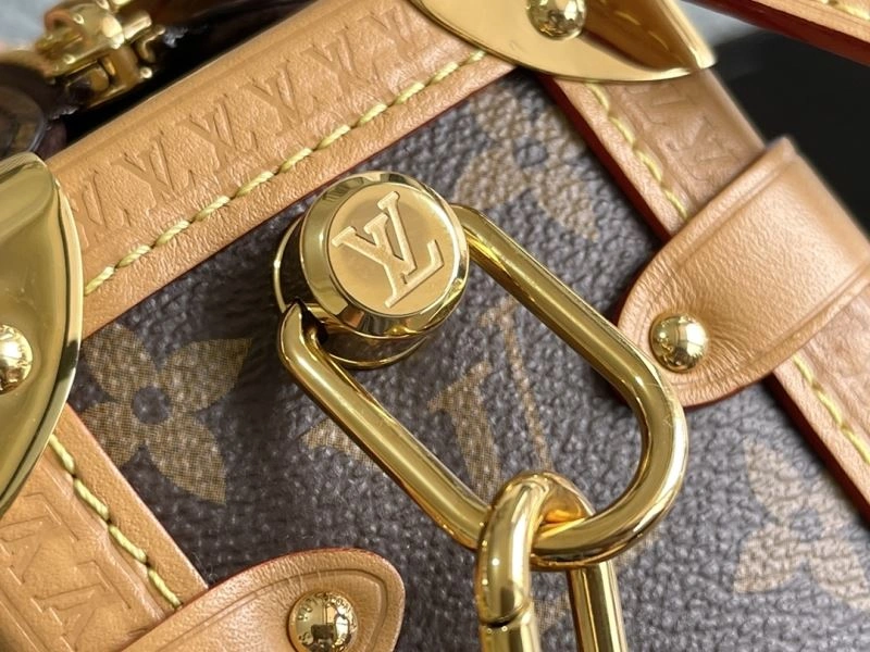 GoAnywhere Louis Vuitton Box Bags 94414