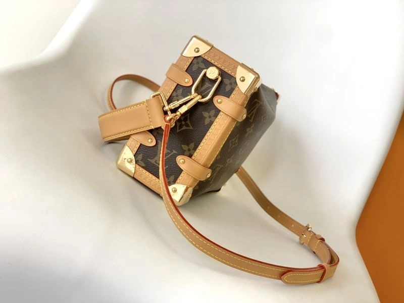 Louis Vuitton Box Bags EasyCare 94408