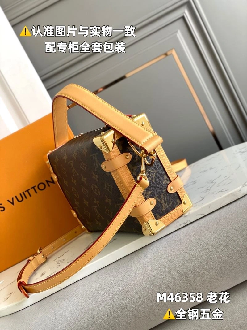 Snug Louis Vuitton Box Bags 93981