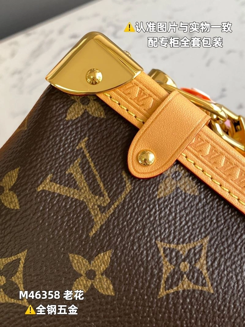 Snug Louis Vuitton Box Bags 93981