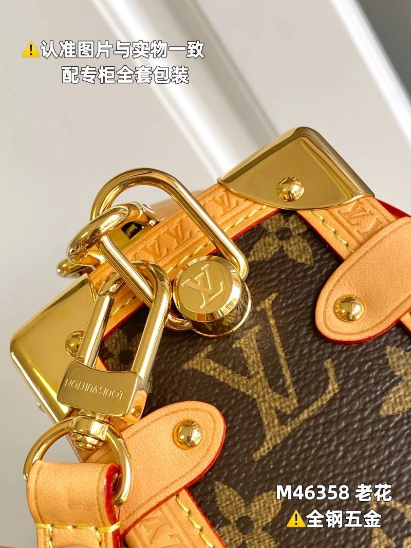 Snug Louis Vuitton Box Bags 93981