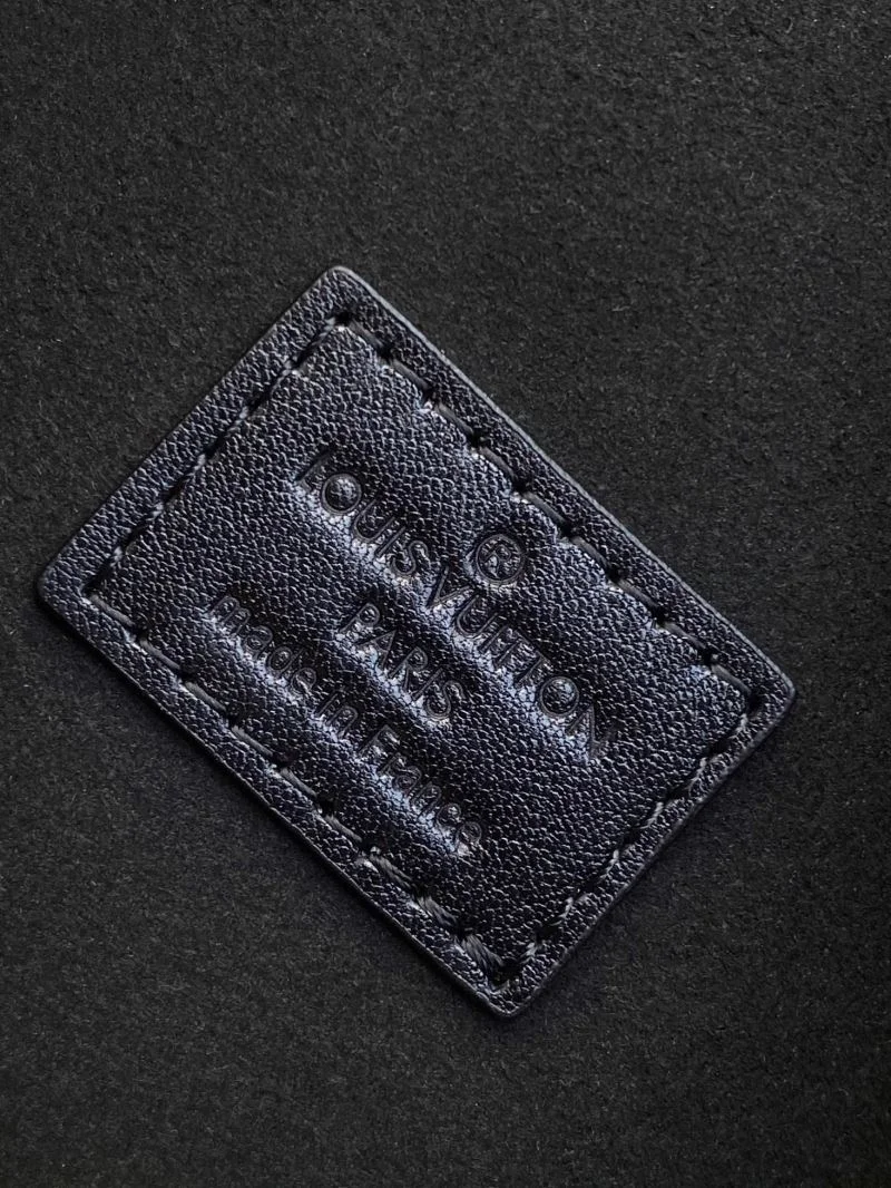 Louis Vuitton Box Bags EasyCare 41999
