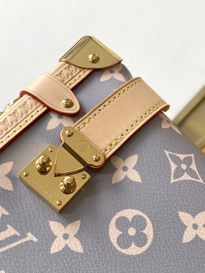 Efficient Louis Vuitton Box Bags 41989