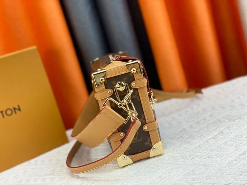 GoAnywhere Louis Vuitton Box Bags 80521