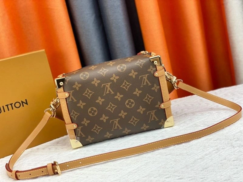 GoAnywhere Louis Vuitton Box Bags 80521