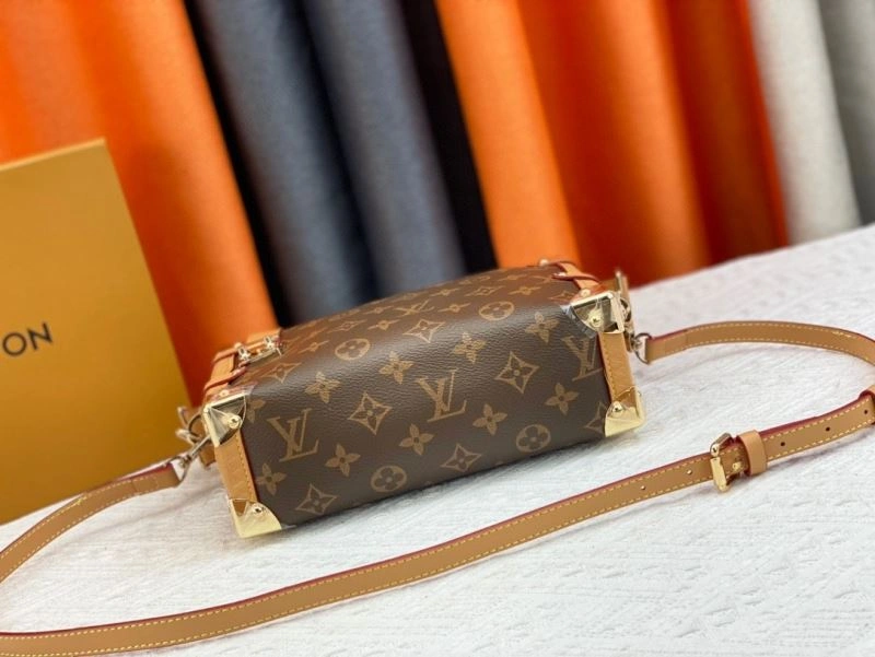 GoAnywhere Louis Vuitton Box Bags 80521