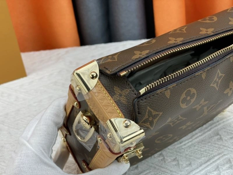 GoAnywhere Louis Vuitton Box Bags 80521