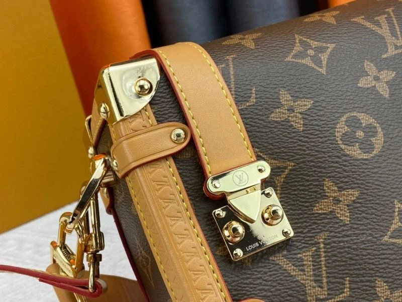 GoAnywhere Louis Vuitton Box Bags 80521