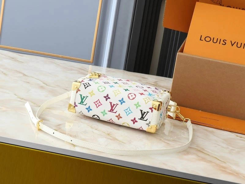 Louis Vuitton Box Bags Resilient 88656