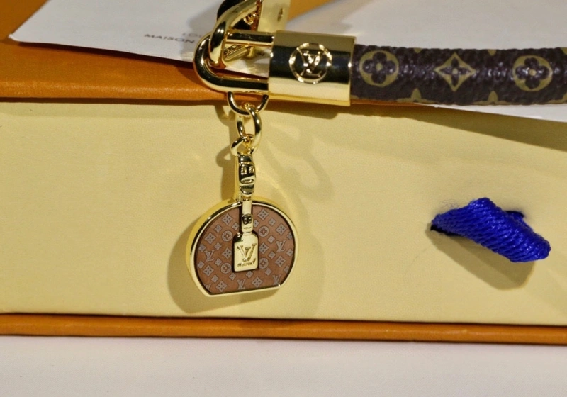 GoAnywhere Louis Vuitton Bracelets 256743