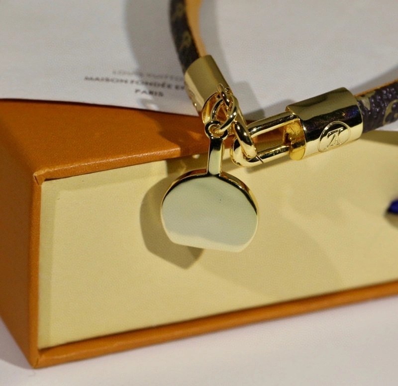 GoAnywhere Louis Vuitton Bracelets 256743