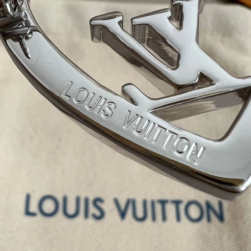Premium Louis Vuitton Brooches 249843