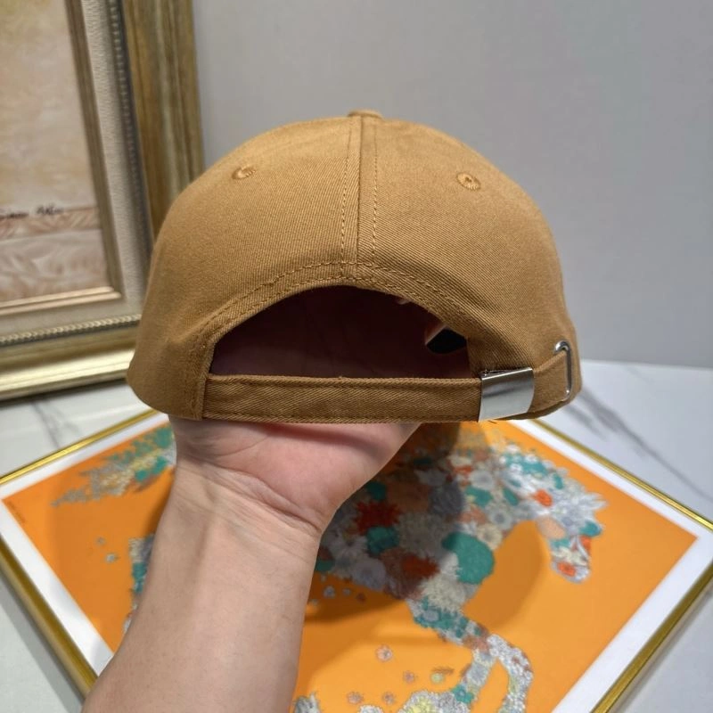 Practical Louis Vuitton Caps 258261