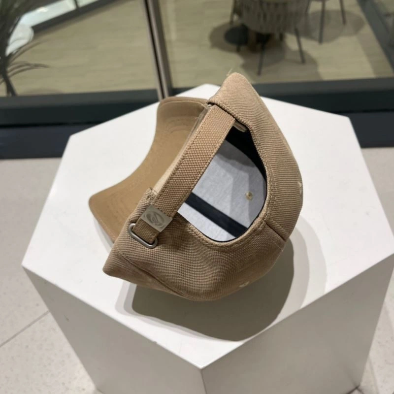 DailyWear Louis Vuitton Caps 256942