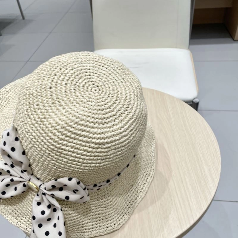 Sleek Louis Vuitton Caps 257857