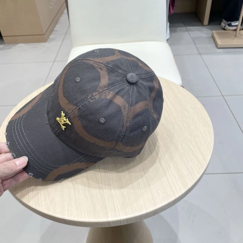 Resilient Louis Vuitton Caps 261853