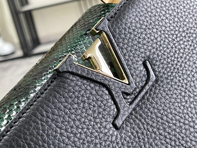 Louis Vuitton Capucines BB Bags GoAnywhere 94383