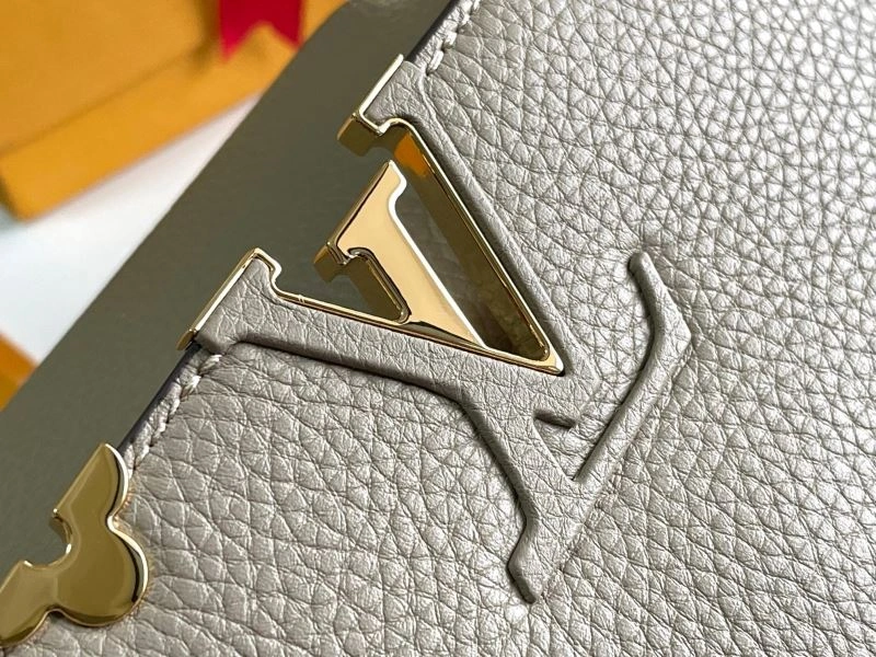 GoAnywhere Louis Vuitton Capucines BB Bags 93975