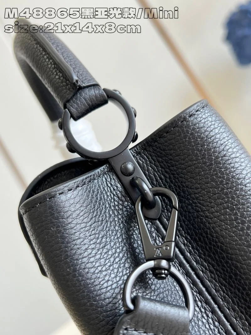 ZipUp Louis Vuitton Capucines BB Bags 41399