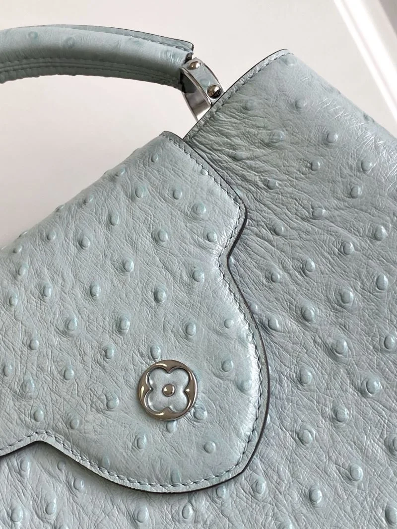 GoAnywhere Louis Vuitton Capucines BB Bags 41334